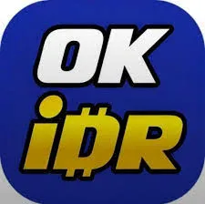 OKIDR - Simulasi Realitas Hidup yang Menyenangkan